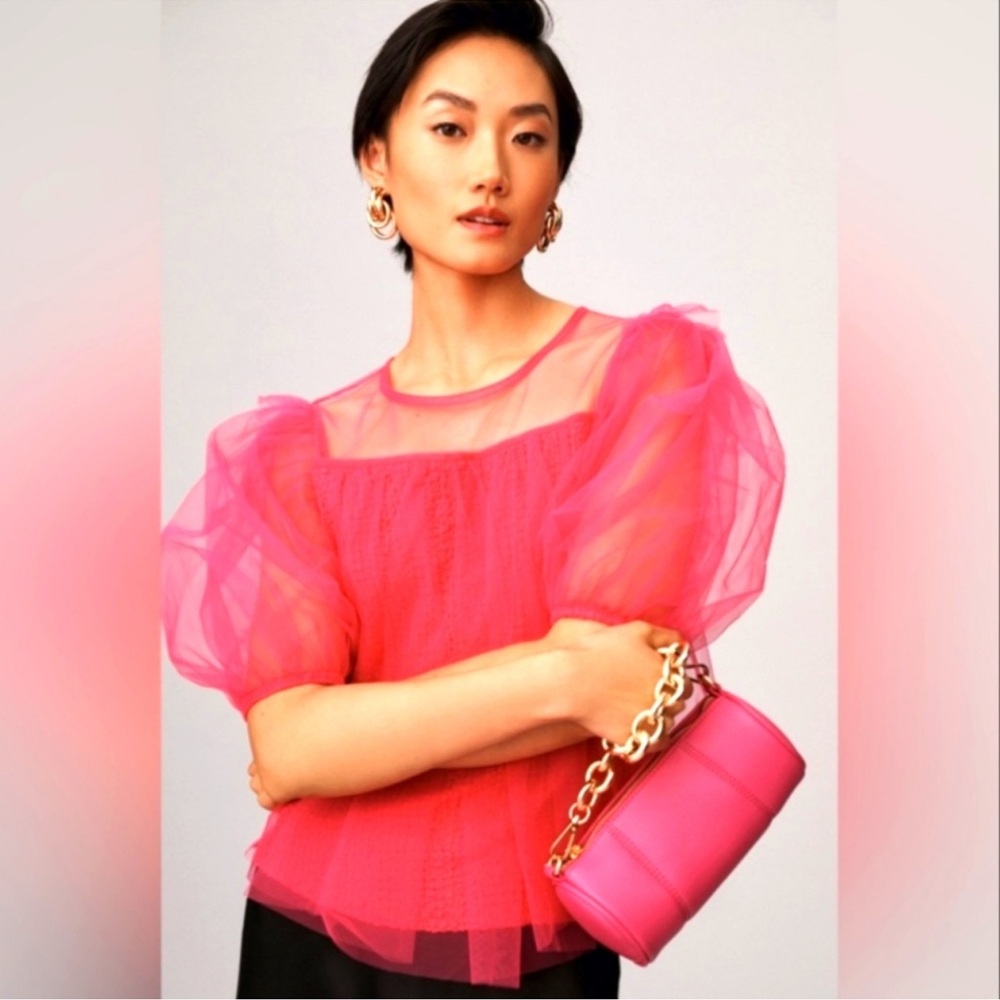 Anthropologie Pink Sheer Blouse